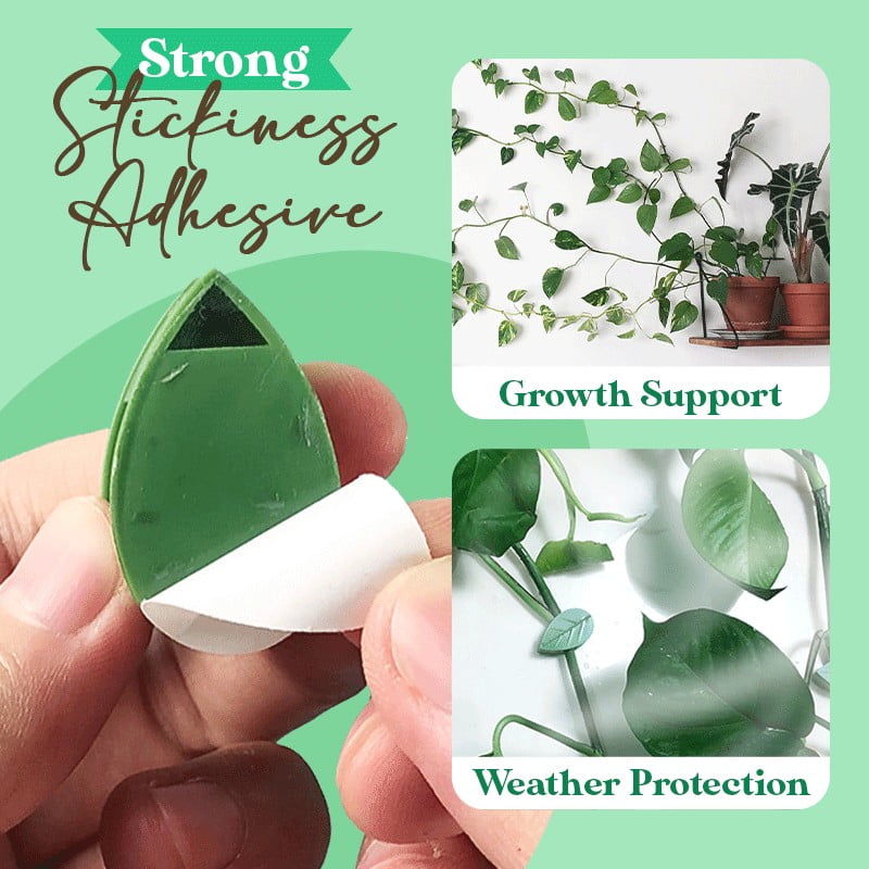 Plant Supports: Plant Climbing Artifact Fixing Clip