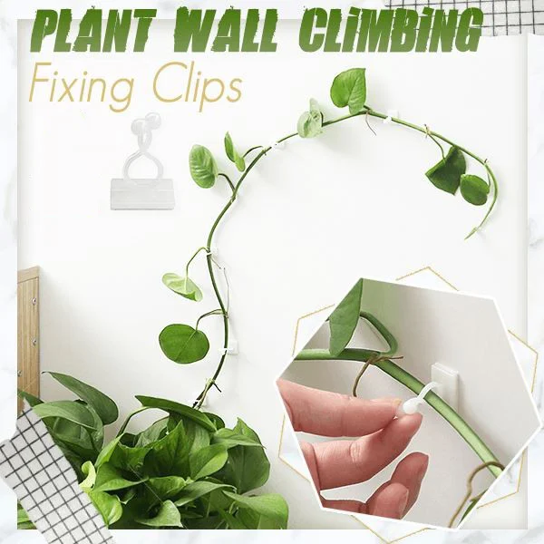 Plant Support: Plant Wall Climbing Fixing Clips