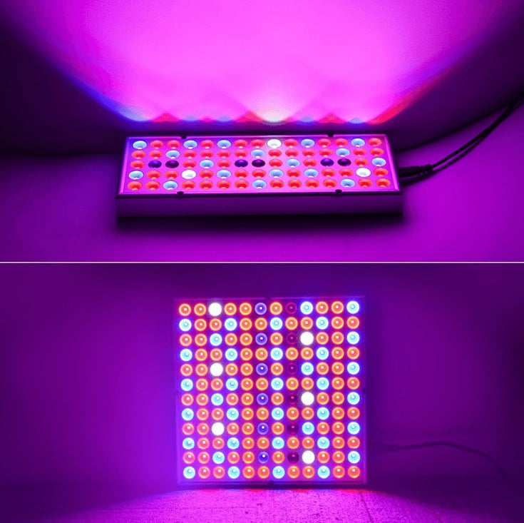 Plant Grow Lights: Full Spectrum Lamp For Plants Growth