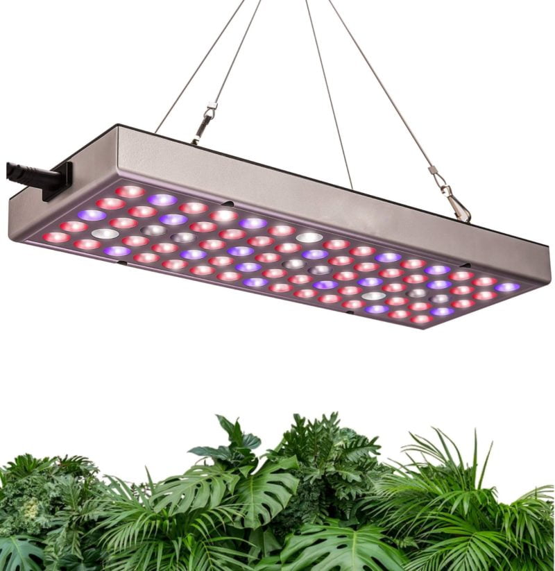 Plant Grow Lights: Full Spectrum Lamp For Plants Growth